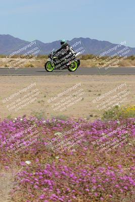 media/Mar-12-2023-SoCal Trackdays (Sun) [[d4c8249724]]/Turn 15 Inside Bloom (130pm)/